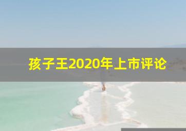 孩子王2020年上市评论