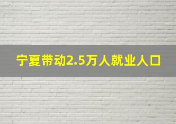 宁夏带动2.5万人就业人口