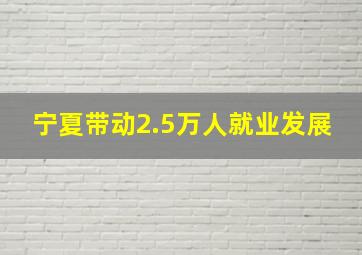 宁夏带动2.5万人就业发展