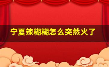 宁夏辣糊糊怎么突然火了