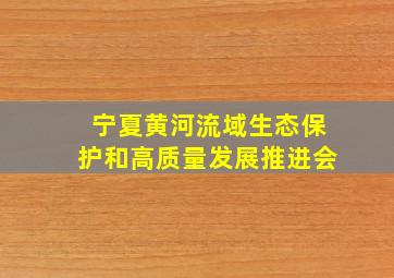 宁夏黄河流域生态保护和高质量发展推进会