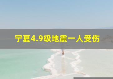 宁夏4.9级地震一人受伤