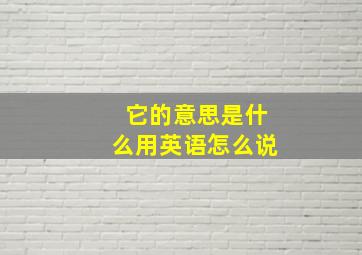 它的意思是什么用英语怎么说