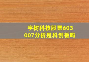 宇树科技股票603007分析是科创板吗