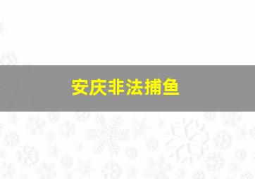 安庆非法捕鱼