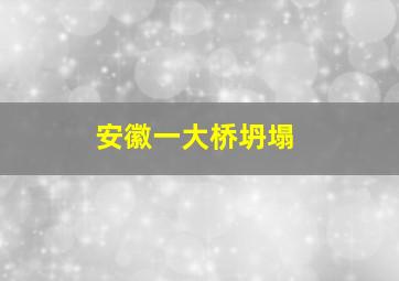 安徽一大桥坍塌