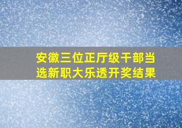 安徽三位正厅级干部当选新职大乐透开奖结果