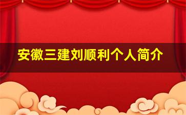 安徽三建刘顺利个人简介