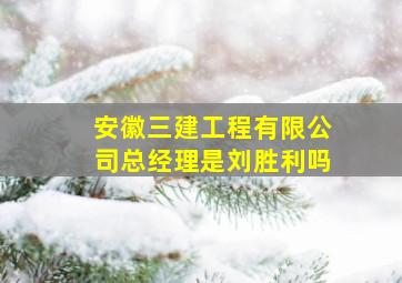 安徽三建工程有限公司总经理是刘胜利吗