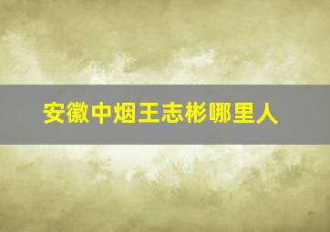 安徽中烟王志彬哪里人