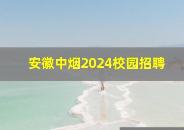 安徽中烟2024校园招聘