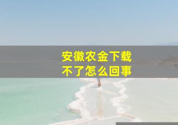 安徽农金下载不了怎么回事