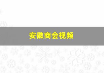 安徽商会视频