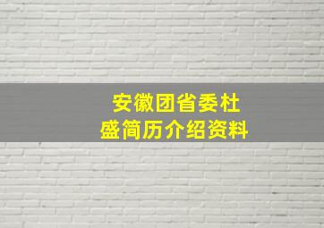 安徽团省委杜盛简历介绍资料