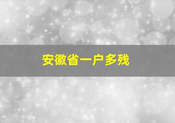 安徽省一户多残