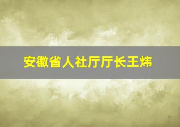 安徽省人社厅厅长王炜