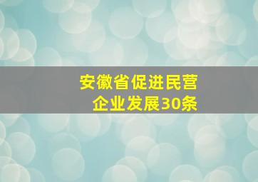 安徽省促进民营企业发展30条