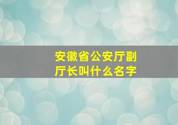 安徽省公安厅副厅长叫什么名字