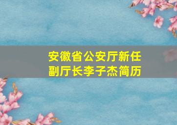 安徽省公安厅新任副厅长李子杰简历