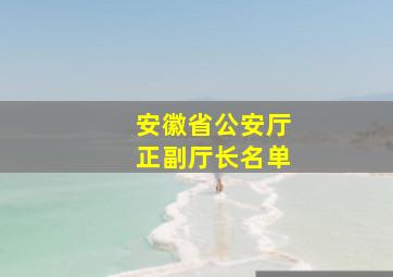 安徽省公安厅正副厅长名单