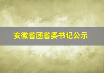 安徽省团省委书记公示