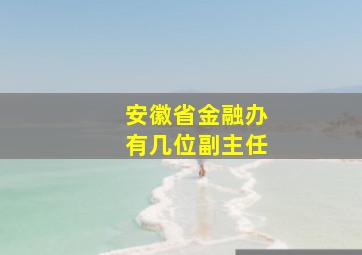 安徽省金融办有几位副主任