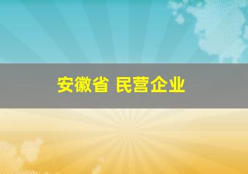 安徽省 民营企业