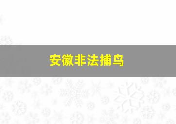 安徽非法捕鸟