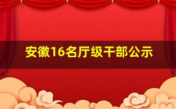 安徽16名厅级干部公示