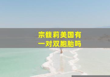 宗馥莉美国有一对双胞胎吗