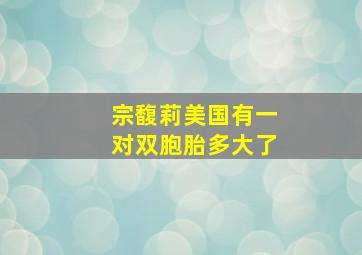 宗馥莉美国有一对双胞胎多大了