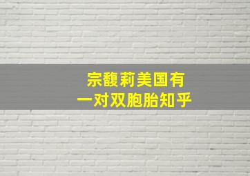 宗馥莉美国有一对双胞胎知乎