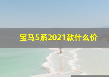 宝马5系2021款什么价