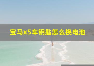 宝马x5车钥匙怎么换电池