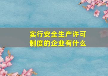 实行安全生产许可制度的企业有什么