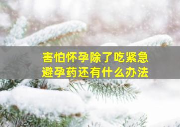 害怕怀孕除了吃紧急避孕药还有什么办法