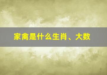 家禽是什么生肖、大数