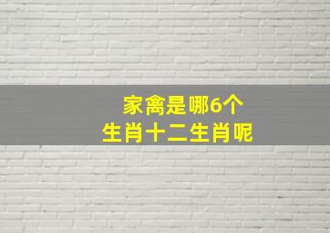 家禽是哪6个生肖十二生肖呢