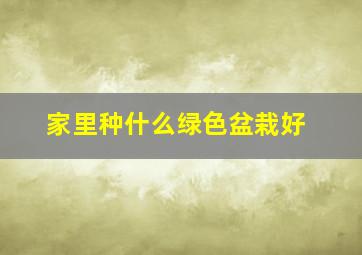 家里种什么绿色盆栽好