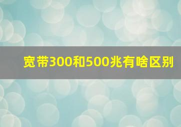 宽带300和500兆有啥区别