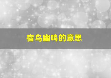 宿鸟幽鸣的意思