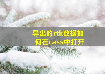 导出的rtk数据如何在cass中打开