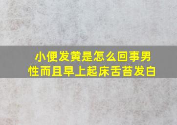 小便发黄是怎么回事男性而且早上起床舌苔发白