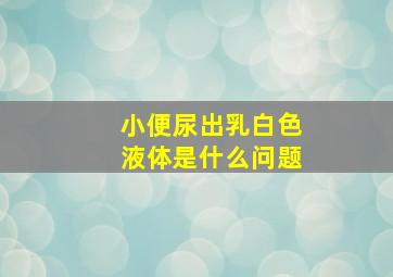 小便尿出乳白色液体是什么问题