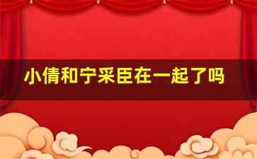 小倩和宁采臣在一起了吗