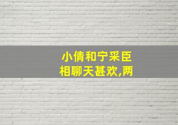 小倩和宁采臣相聊天甚欢,两