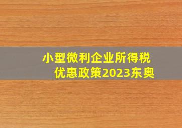 小型微利企业所得税优惠政策2023东奥