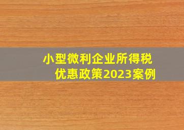 小型微利企业所得税优惠政策2023案例