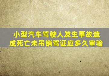 小型汽车驾驶人发生事故造成死亡未吊销驾证应多久审验