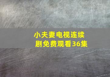 小夫妻电视连续剧免费观看36集